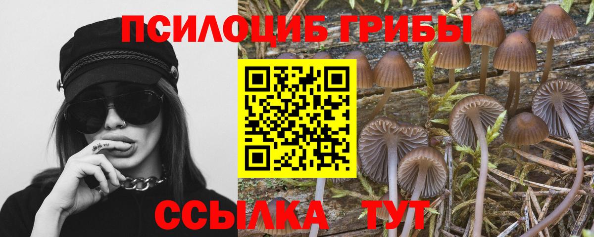 Псилоцибиновые грибы ЛСД  Вход с VPN  Барабинск  Псилоцибиновые грибы ЛСД 
